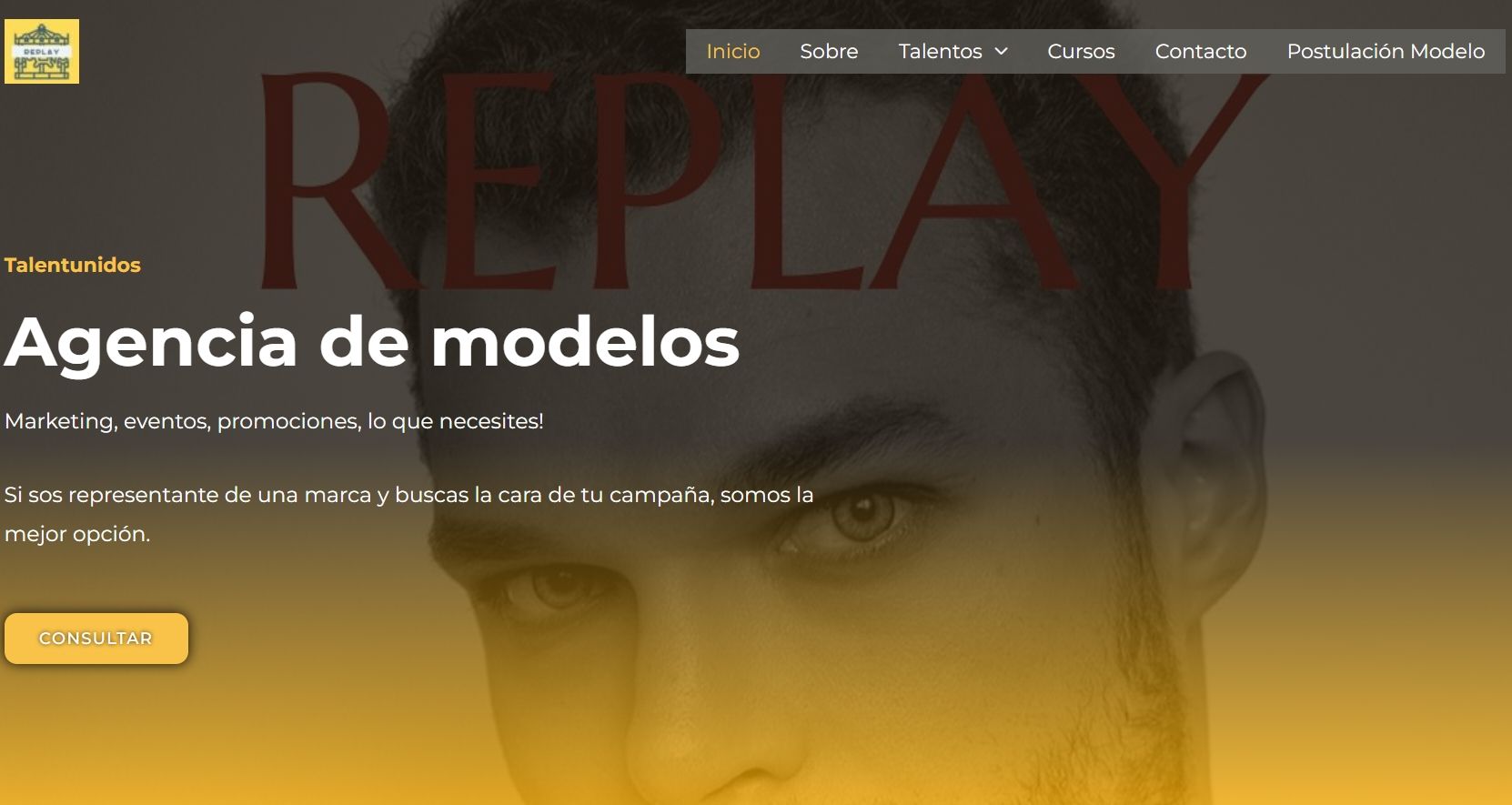 Innovaweb diseño una pagina web para agencia de modelos
